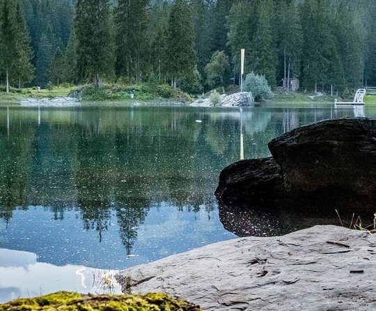 粉象生活邀请码