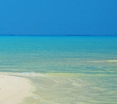 粉象生活送淘宝礼品