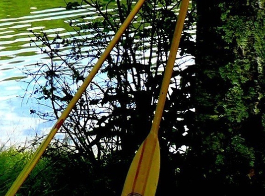 粉象生活没有隐私