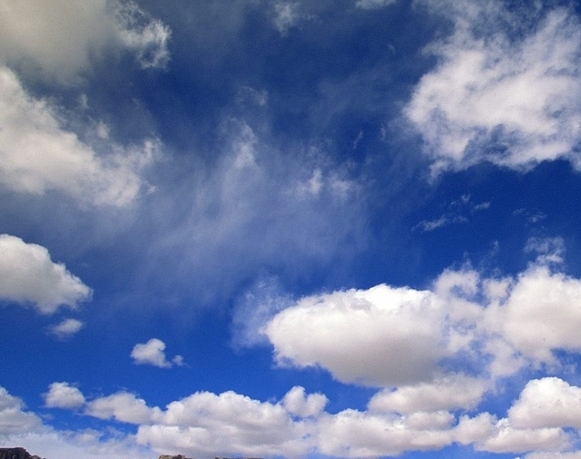 粉象生活打卡失败