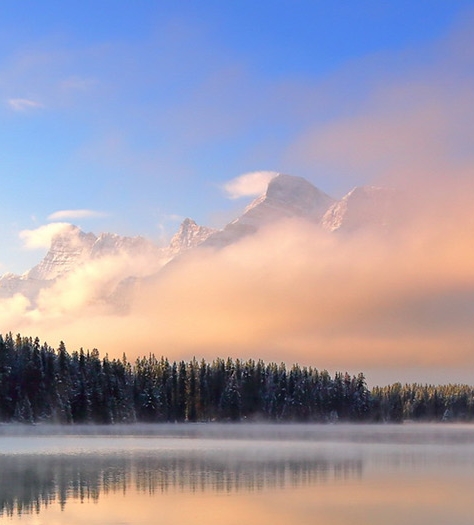 粉象生活下载官方正版