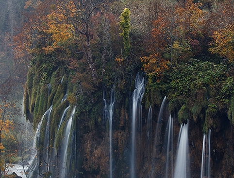 粉象生活京东怎么使用