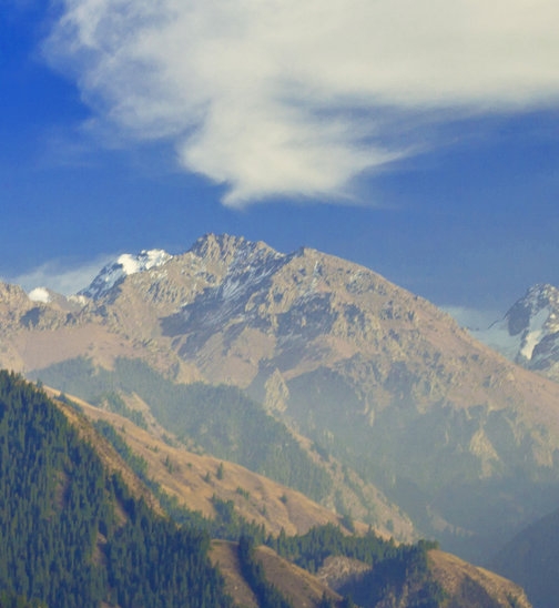 粉象生活真实收入