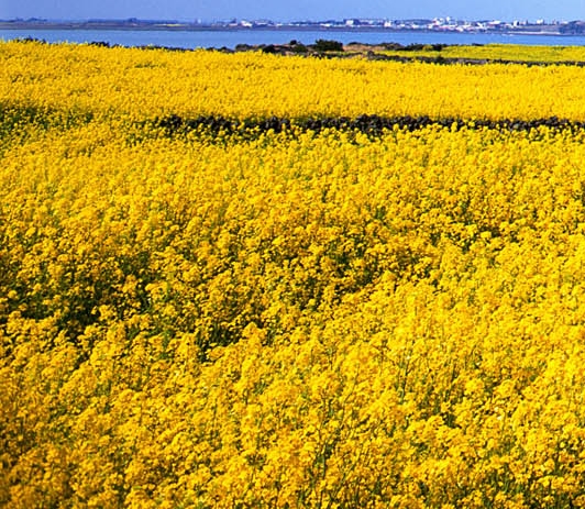 粉象生活怎么分享赚钱