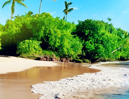 粉象生活粉丝怎么增加