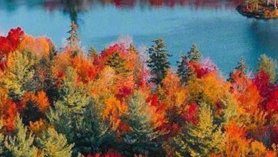 粉象生活苹果旧版