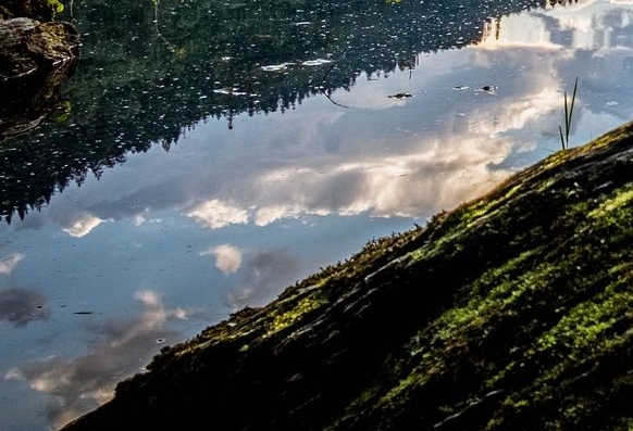 粉象生活用的什么推广
