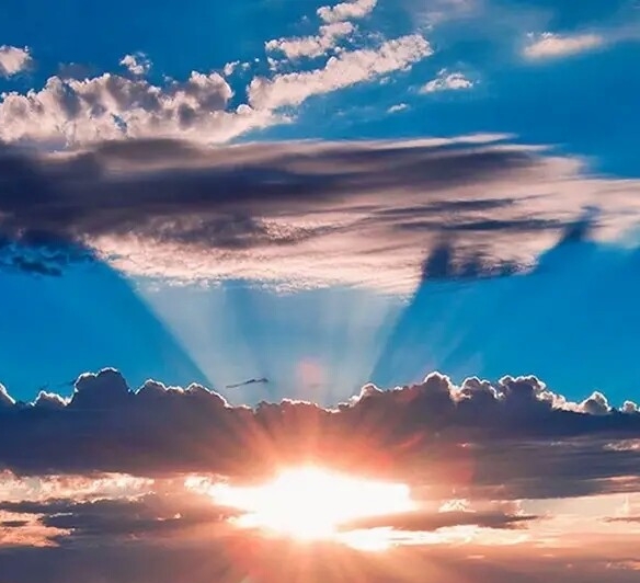 粉象生活能赚到钱吗