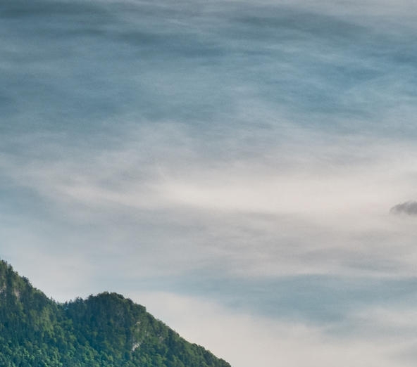 粉象生活发圈了有佣金嘛