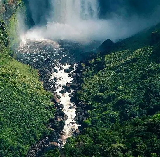 粉象生活是什么?