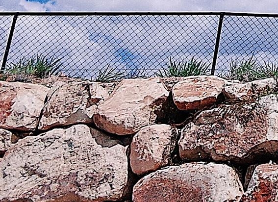 粉象生活邀请码