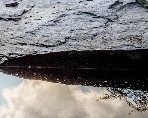 粉象生活淘宝怎么授权不了