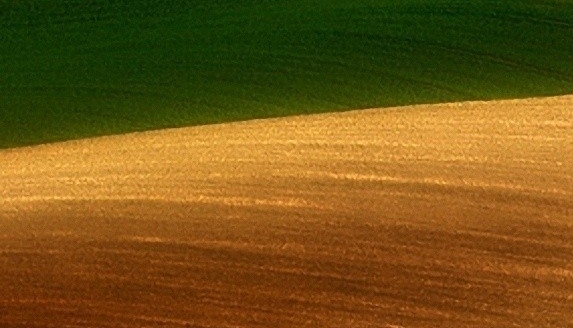 粉象生活新用户怎么发红包