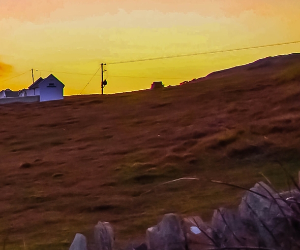 呼伦贝尔粉象生活