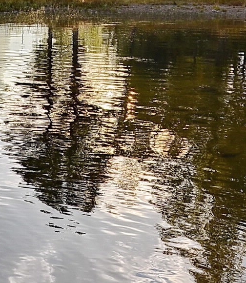 粉象生活粉丝怎么增加