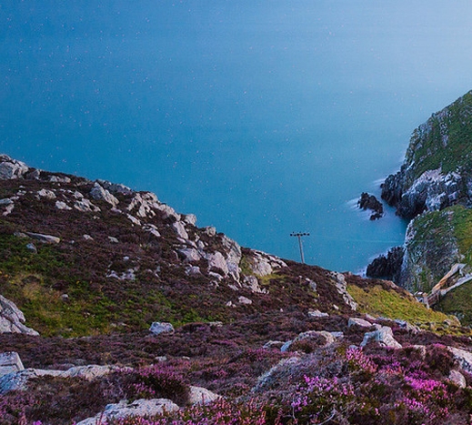 粉象生活的订单怎样查物流