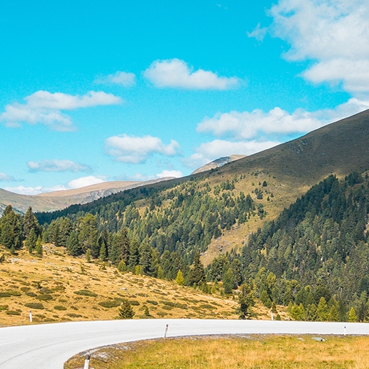 广东一站式粉象生活网站
