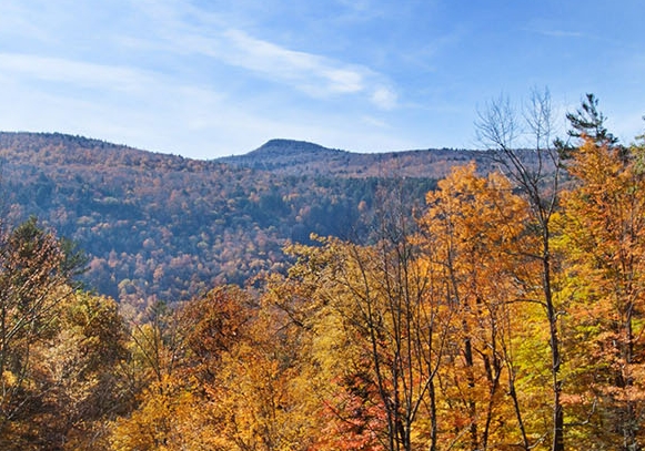 粉象生活要交钱吗