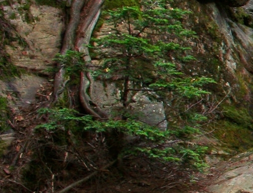 粉象生活奖励政策