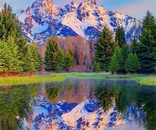 比粉象生活返利还高的软件