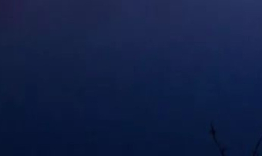 水瓶女粉象生活