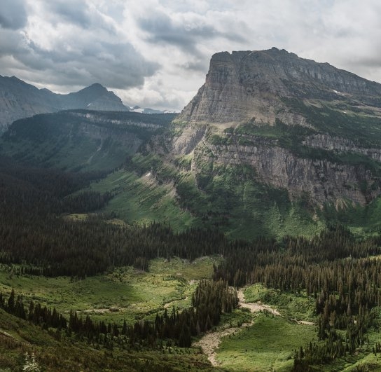 粉象生活能赚到钱吗
