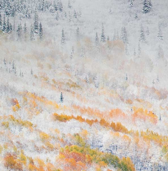 粉象生活要填写邀请码吗