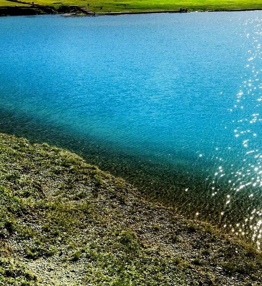 运营粉象生活推广