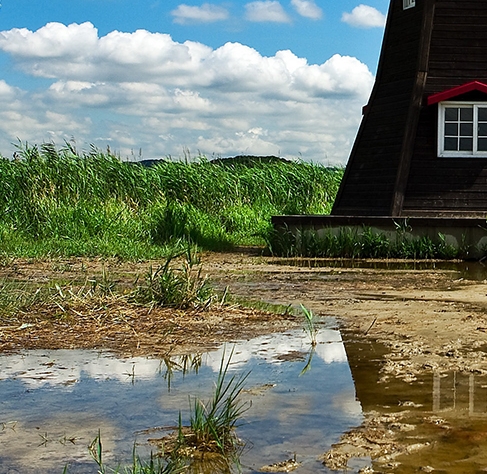 粉象生活邀请码哪里输入填