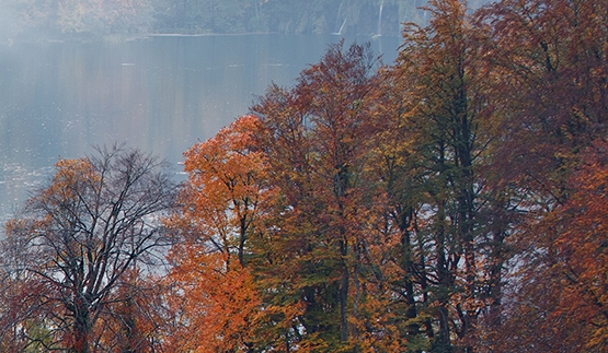 粉象生活取消关联