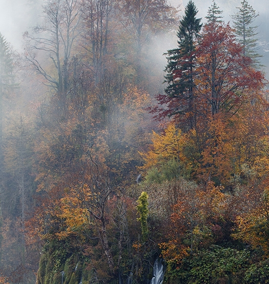 粉象生活下载app