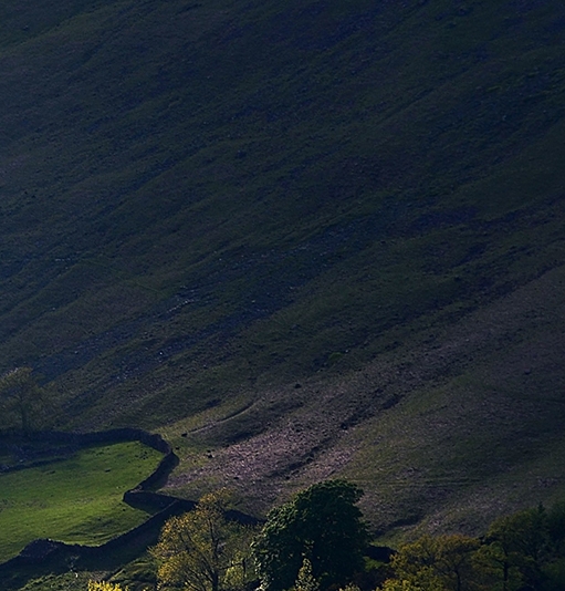 粉象生活和小米