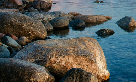 粉象生活怎样吗