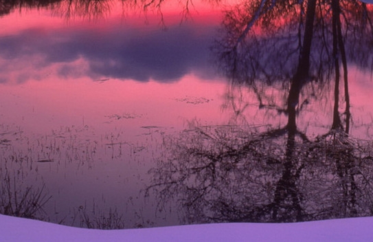 粉象生活的粉怎么买