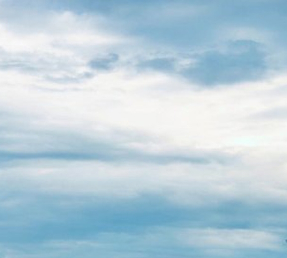 粉象生活注册方法