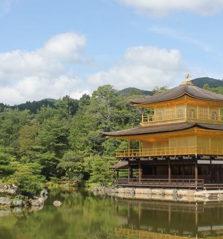 粉象生活邀请码