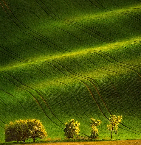 粉象生活拉不到人能赚佣金吗