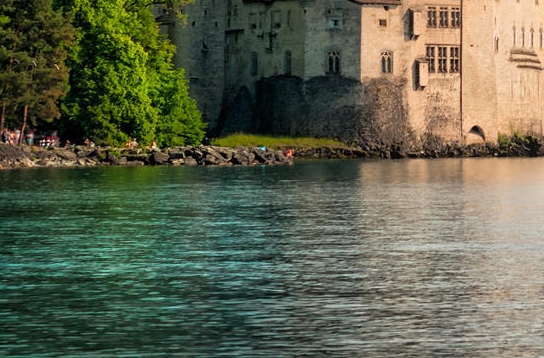 粉象生活邀请码