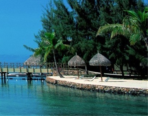 粉象生活怎么注册新号