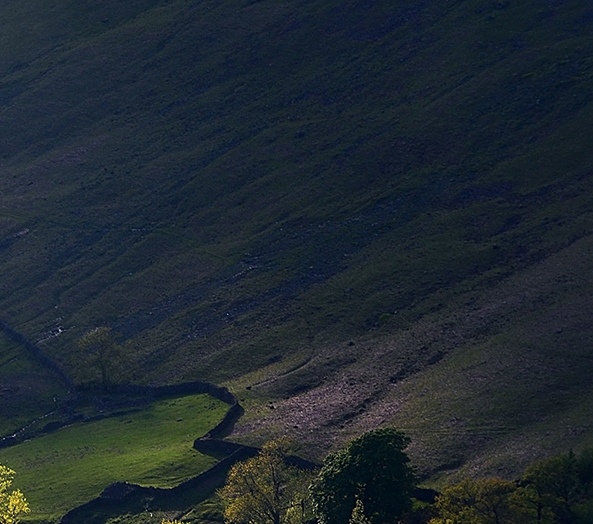 微信总自动邀请别人进群