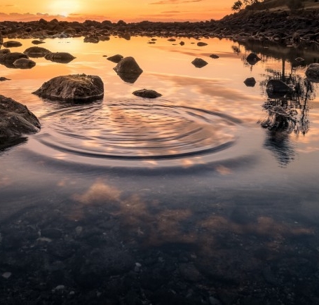 粉象未结算是什么意思