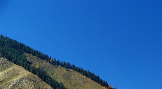 你们做粉象生活的收入