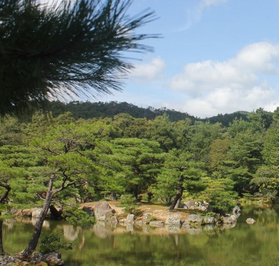 东莞粉象生活使用教程