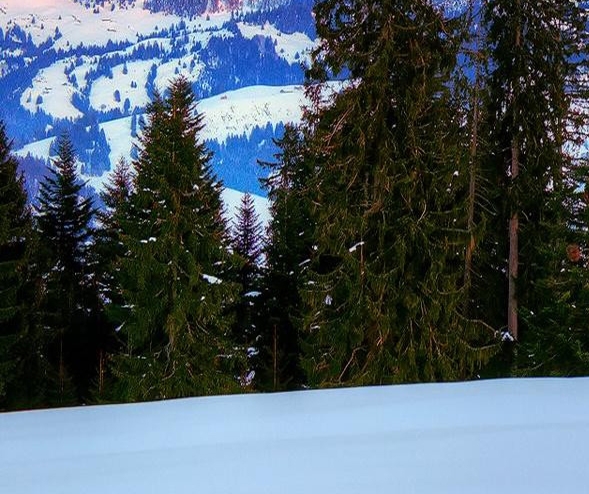 粉象生活怎么领佣金的