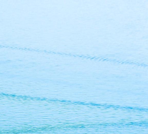 粉象生活李红星