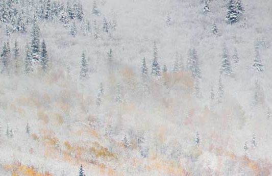 粉象生活粉丝怎么增加