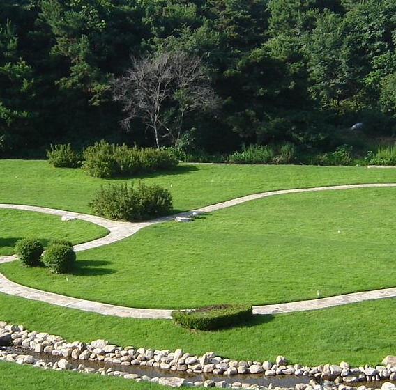 粉象生活团队加入费用