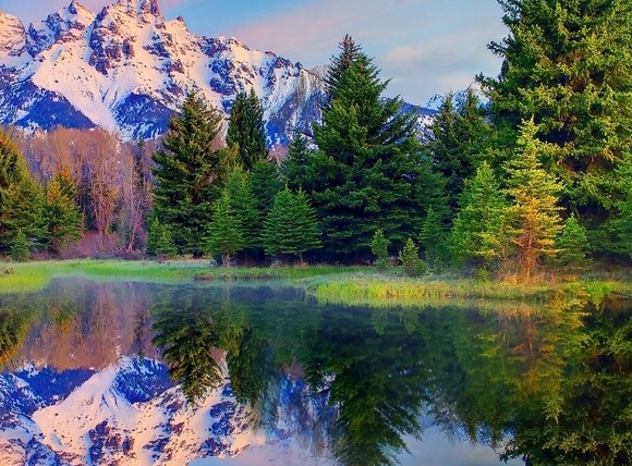 粉象生活招聘视频