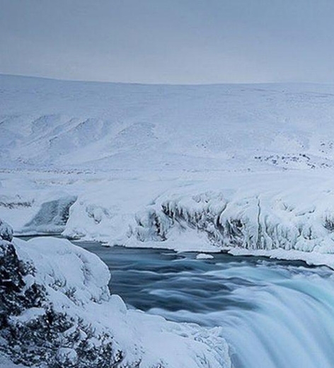 粉象生活背景故事