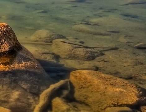 粉象生活专属粉丝什么意思